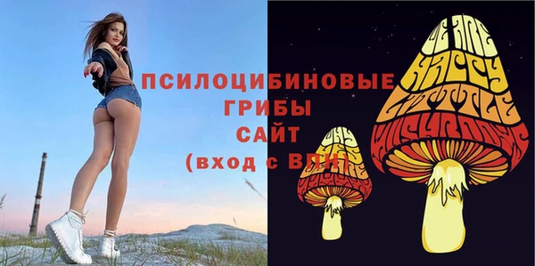 кокаин Белокуриха
